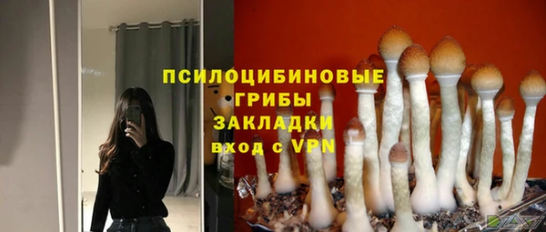 тгк Лихославль