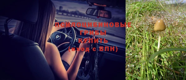 прущий лед Лагань
